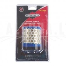 Oro filtras Blister 396424S