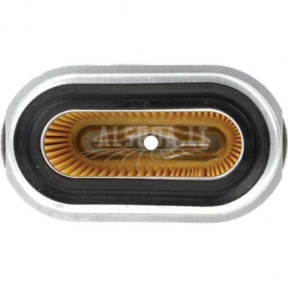 Oro filtras Honda 17210734505