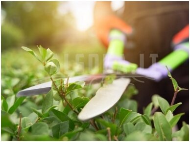 Patarimai, kaip efektyviai naudoti gyvatvorių ir žolės žirkles