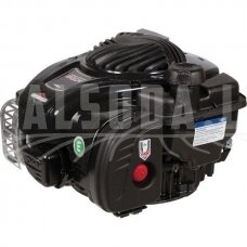 Variklis 3.5 HP Briggs&Stratton 09P6020014H5