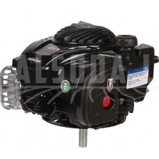 Variklis 4 HP Briggs&Stratton 09P6020036H5