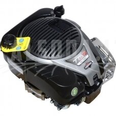 Variklis 5 HP Briggs&Stratton 1006050039H5