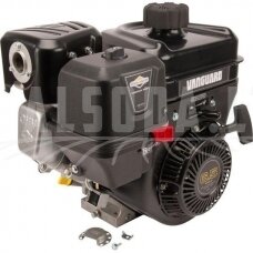 Variklis 6.5 HP Briggs&Stratton 13L3320312F8