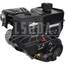 Variklis 9 HP Briggs&Stratton 19L2320314F1