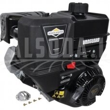 Variklis 9 HP Briggs&Stratton 19L2370319F1