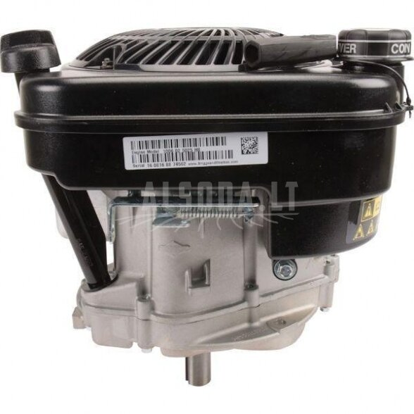 Variklis 5 HP Briggs&Stratton 1006025025H5 2