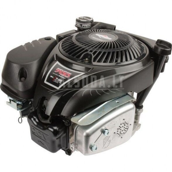 Variklis 5 HP Briggs&Stratton 1006025025H5