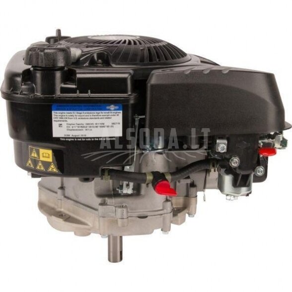 Variklis 5 HP Briggs&Stratton 1008020148H5 1