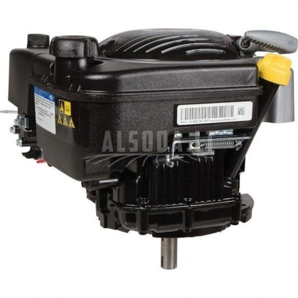 Variklis 6 HP Briggs&Stratton 123P020011H5 1